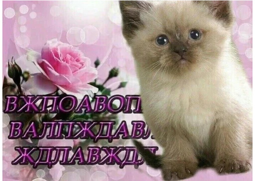 😌 Стикер «почему.» для Telegram