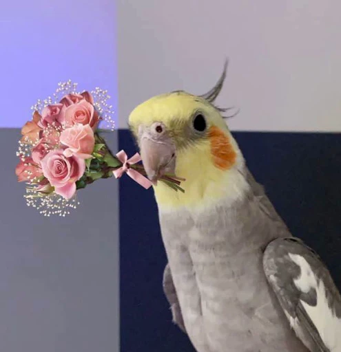 💐 Стикер «Лимоша» для Telegram