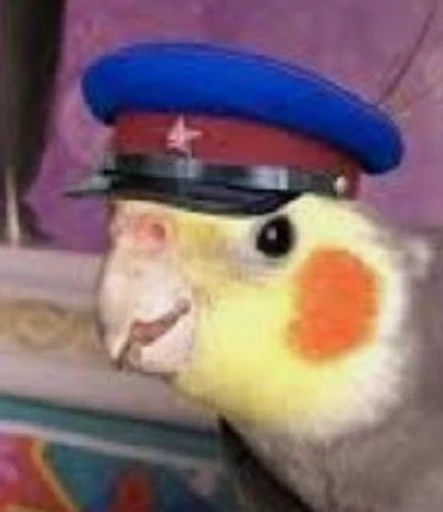 👮‍♂️ Стикер «Лимоша» для Telegram