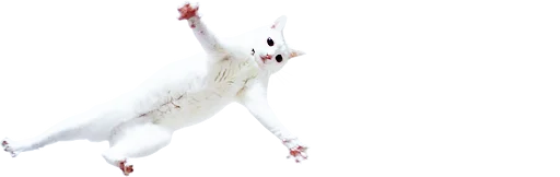 🕺 Стикер «microcats» для Telegram