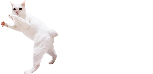 🕺 Стикер «microcats» для Telegram