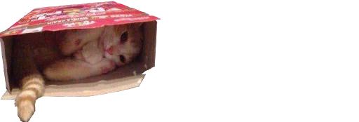 😰 Стикер «microcats» для Telegram
