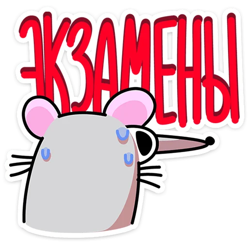 ⭐ Стикер «Крысюк, к доске» для Telegram