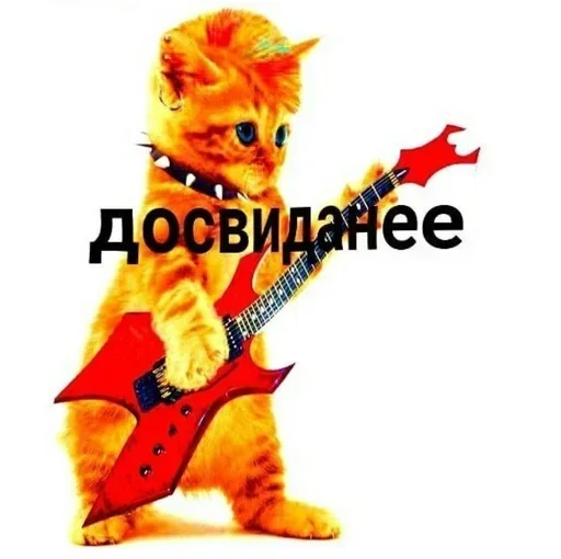 💃 Стикер «kitten$» для Telegram