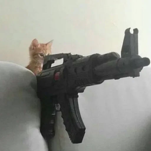 🔫 Стикер «kitten$» для Telegram