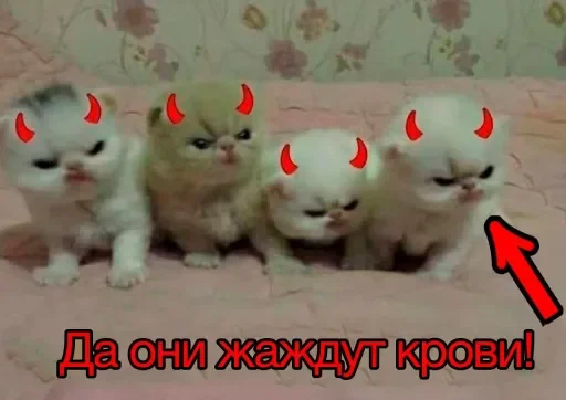 🩸 Стикер «раздал стиля» для Telegram