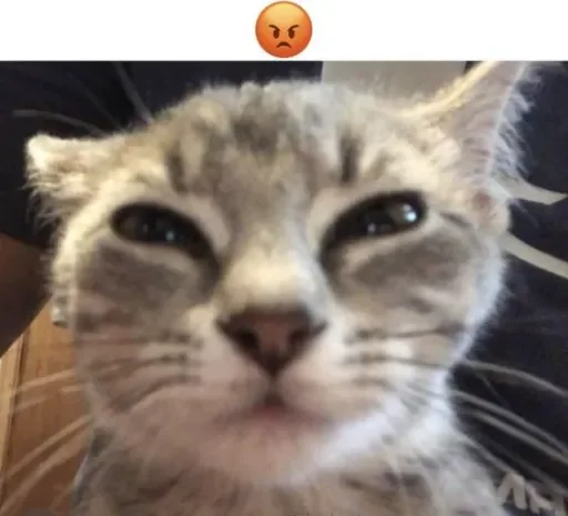 😡 Стикер «раздал стиля» для Telegram