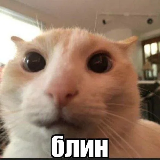 😞 Стикер «раздал стиля» для Telegram