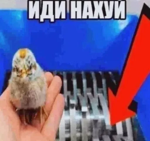 😁 Стикер «раздал стиля» для Telegram