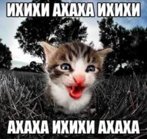 😁 Стикер «раздал стиля» для Telegram