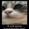 Стикер 26 🍎 Кекисы #1