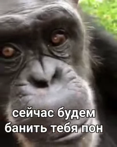 🌟 Стикер «pack 5» для Telegram