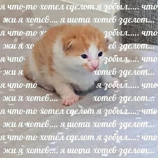 🤔 Стикер «Кекольников» для Telegram