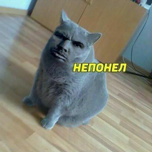 😐 Стикер «Кекольников» для Telegram