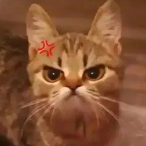 😡 Стикер «Кекольников» для Telegram