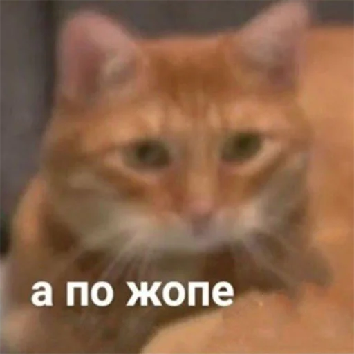 🤨 Стикер «Кекольников» для Telegram