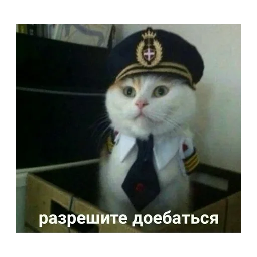 🤔 Стикер «Кекольников» для Telegram