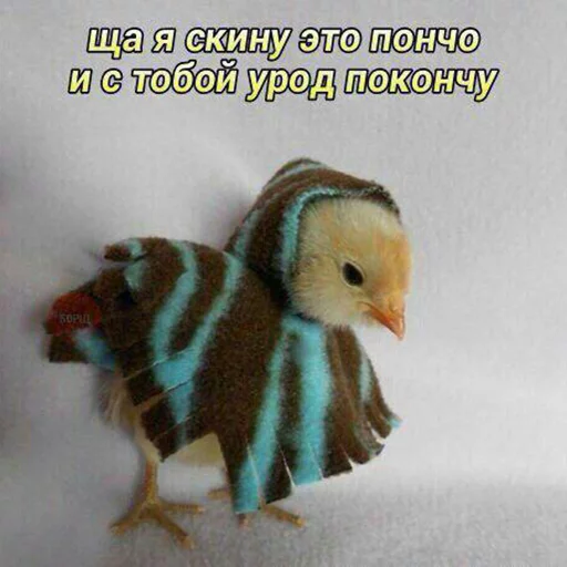 😡 Стикер «Кекольников» для Telegram