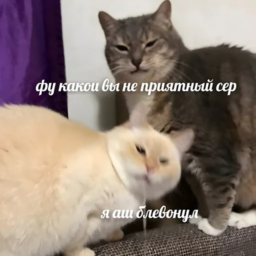 🤮 Стикер «Кекольников» для Telegram