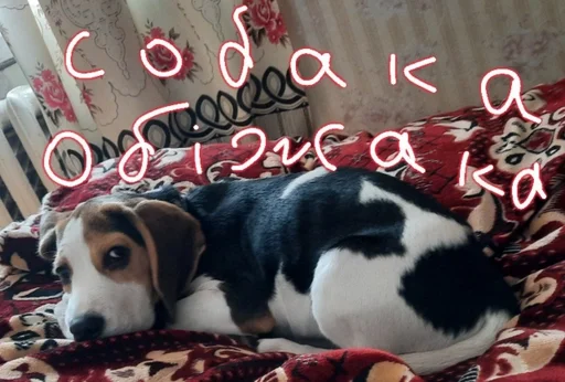 😓 Стикер «Beagle Amor» для Telegram