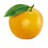 Стикер 9 Kenneth