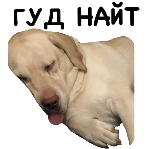 😴 Стикер «Actual» для Telegram