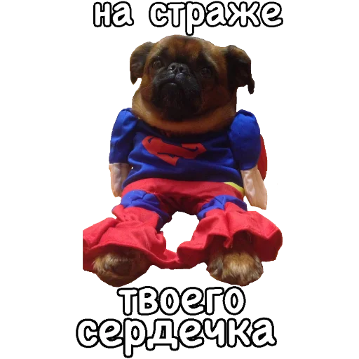 ❤️ Стикер «Actual» для Telegram