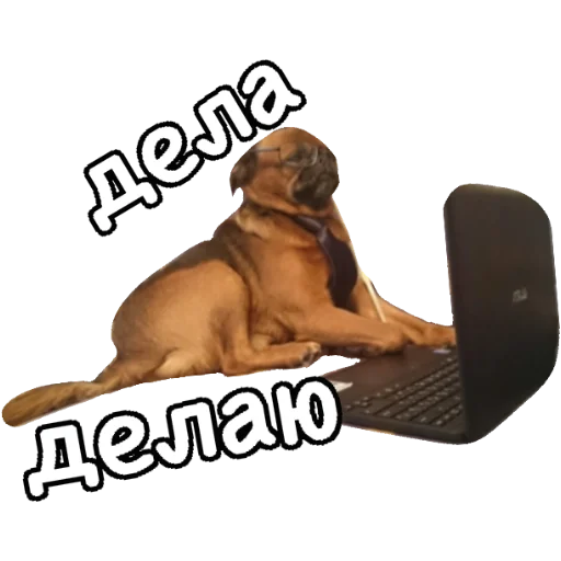 🤓 Стикер «Actual» для Telegram