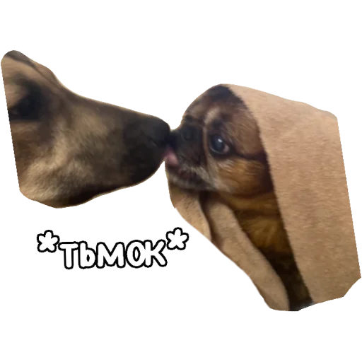 😘 Стикер «Actual» для Telegram