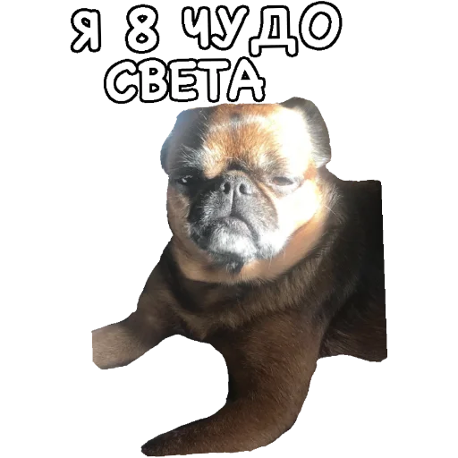 😇 Стикер «Actual» для Telegram