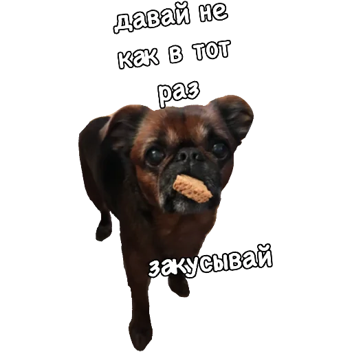 🥴 Стикер «Actual» для Telegram