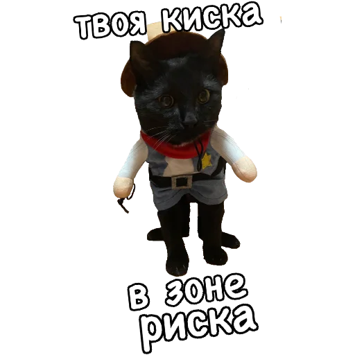 😏 Стикер «Actual» для Telegram