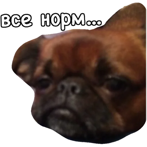😔 Стикер «Actual» для Telegram