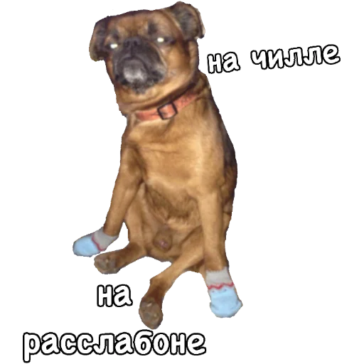 💆‍♀️ Стикер «Actual» для Telegram