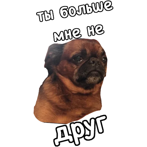 😑 Стикер «Actual» для Telegram