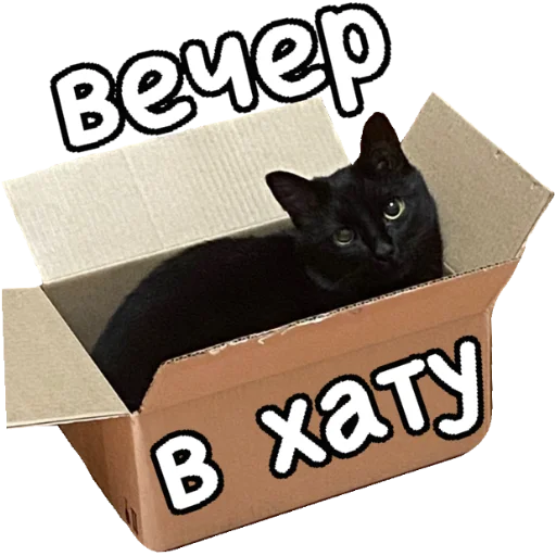 ✌️ Стикер «Actual» для Telegram