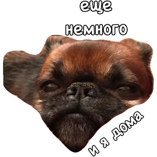 🏠 Стикер «Actual» для Telegram
