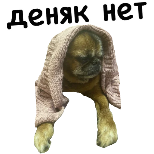 😣 Стикер «Actual» для Telegram