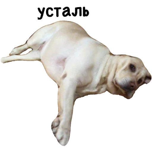 😔 Стикер «Actual» для Telegram