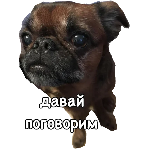 🙃 Стикер «Actual» для Telegram