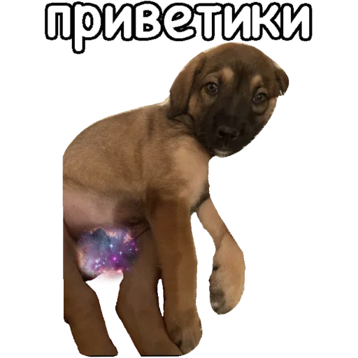 👋 Стикер «Actual» для Telegram