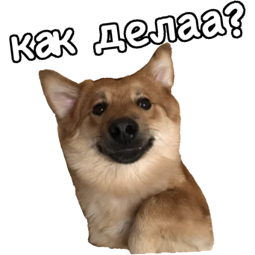 😊 Стикер «Actual» для Telegram