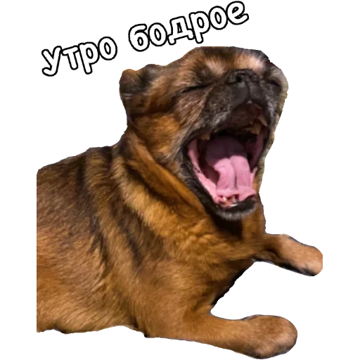 🥱 Стикер «Actual» для Telegram