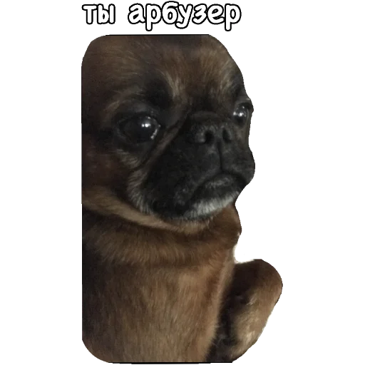 😕 Стикер «Actual» для Telegram