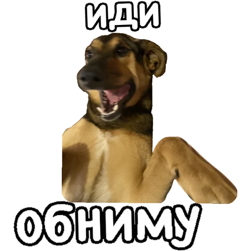 🤗 Стикер «Actual» для Telegram