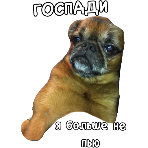 😵‍💫 Стикер «Actual» для Telegram