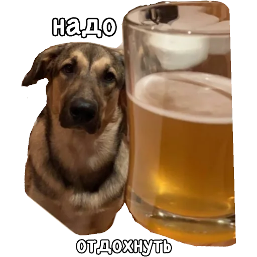 🍺 Стикер «Actual» для Telegram