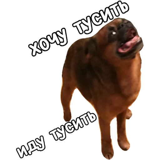 🥳 Стикер «Actual» для Telegram