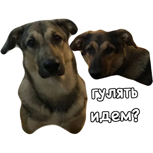 ☀️ Стикер «Actual» для Telegram