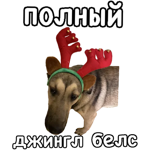 🤪 Стикер «Actual» для Telegram